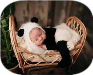 Vemonllas Newborn Photography Props Boys Girls Outfits Mohair Bear Hat Bonnet & Footed Romper Bodysuit Photoshoot Costume Set